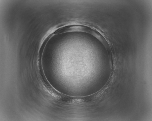 X0000078230152200611101018