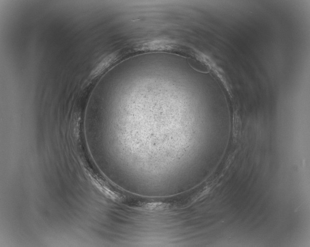 X0000078230153200611101018