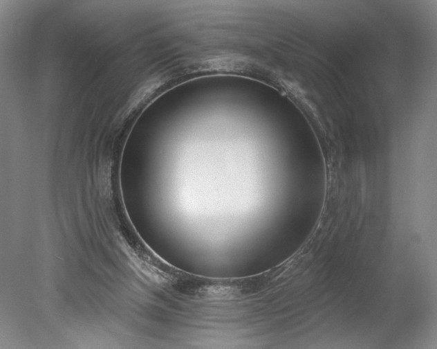 X0000078230154200611101018