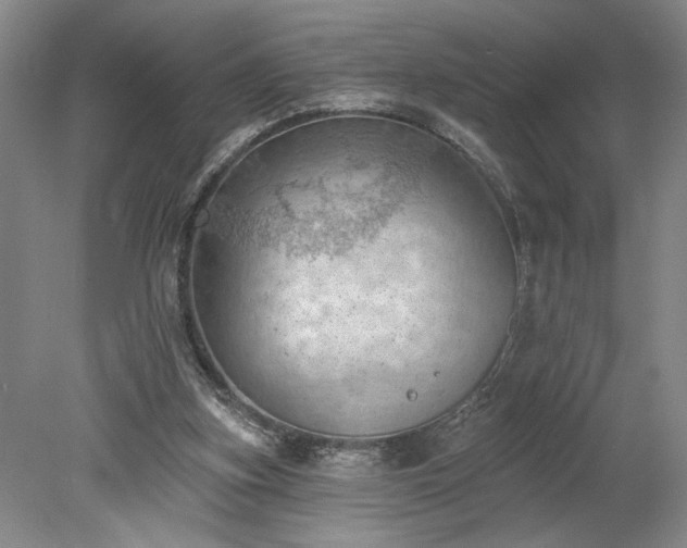 X0000078230155200611101018