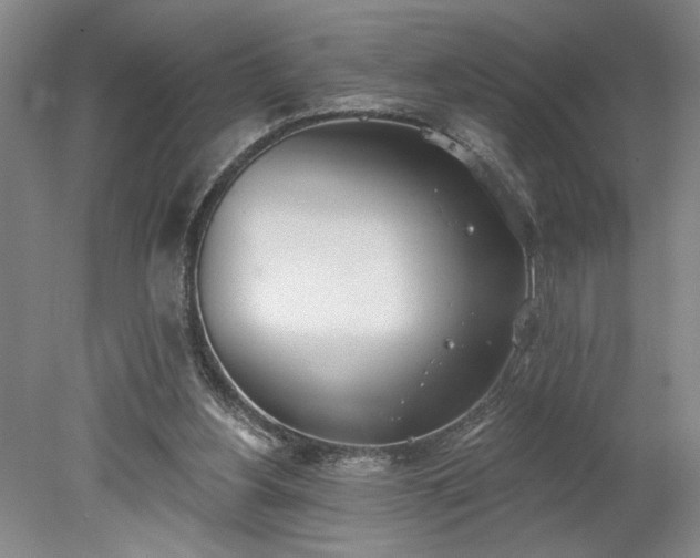 X0000078230156200611101018