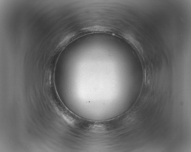 X0000078230157200611101018