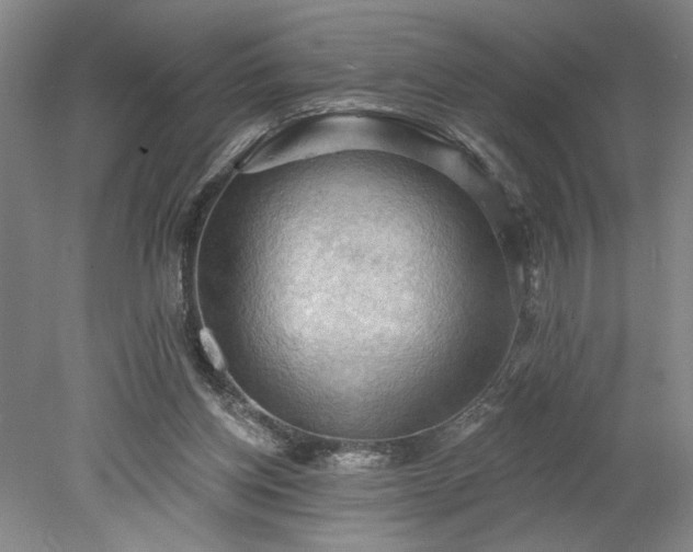 X0000078230158200611101018