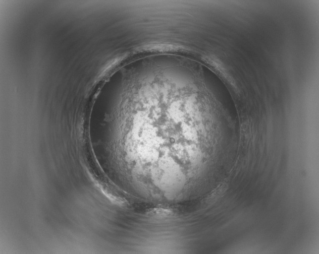 X0000078230159200611101018