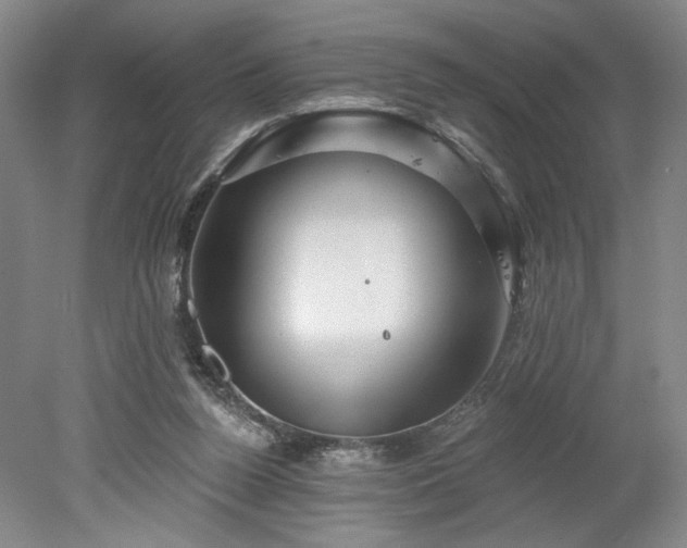 X0000078230160200611101018