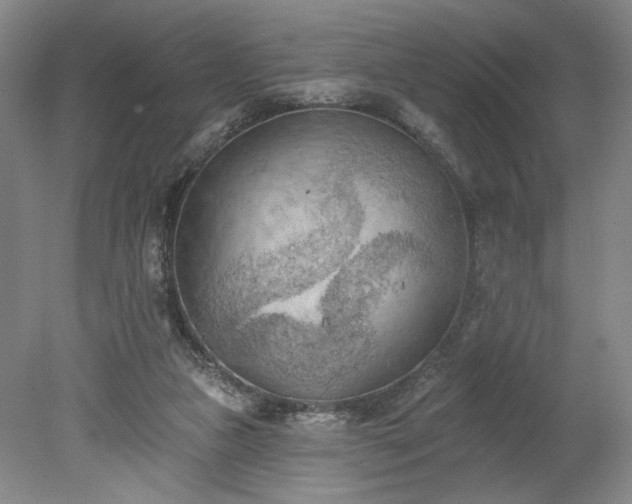 X0000078230161200611101018