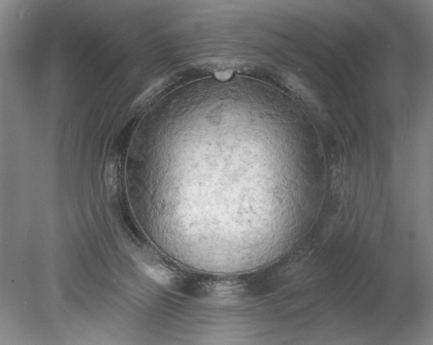 X0000078230165200611101019