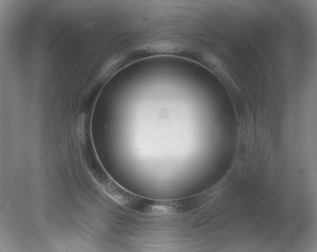 X0000078230167200611101019