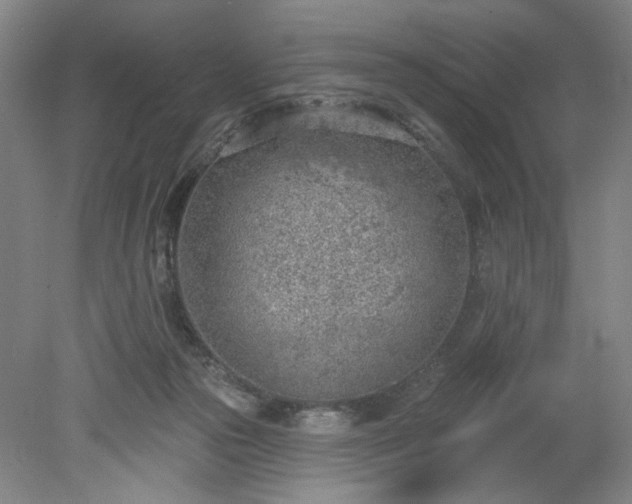 X0000078230169200611101019