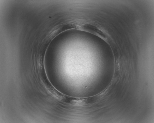 X0000078230170200611101019