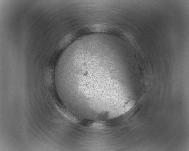 X0000078230171200611101019