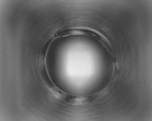 X0000078230172200611101019