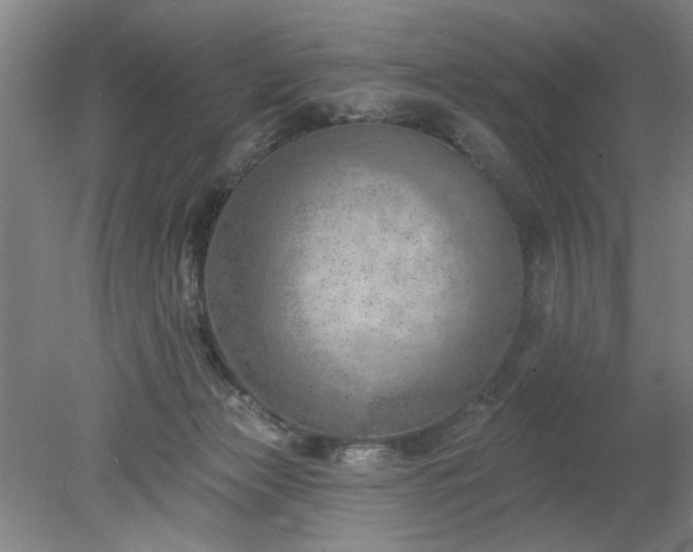 X0000078230173200611101019