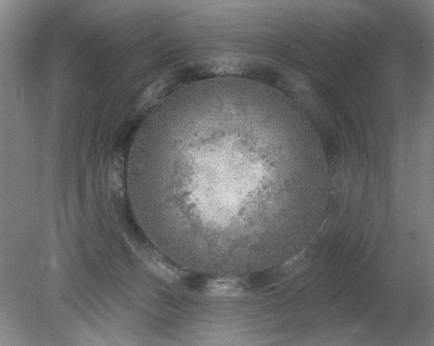 X0000078230175200611101019