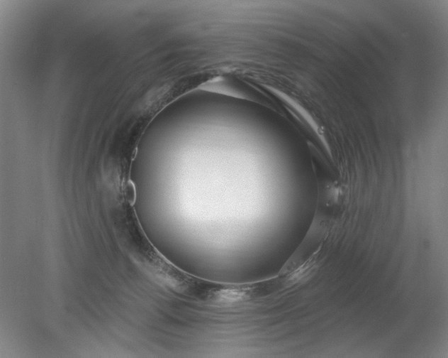 X0000078230176200611101019