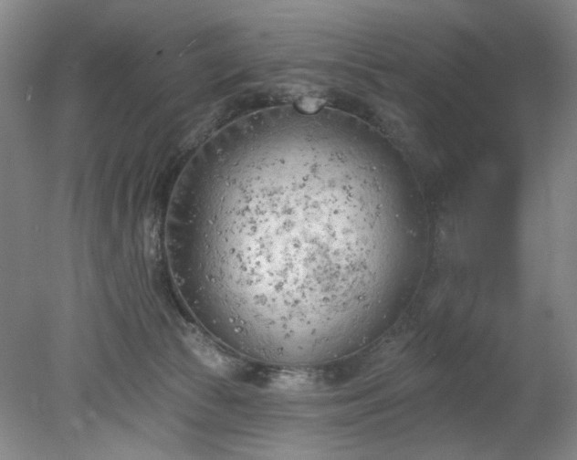 X0000078230177200611101019