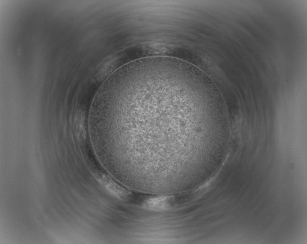 X0000078230178200611101019