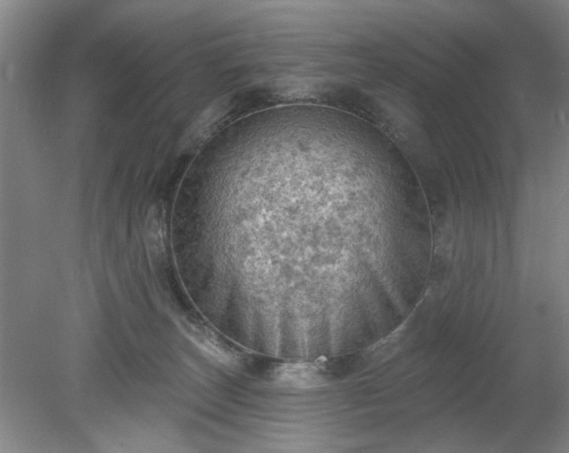 X0000078230179200611101019