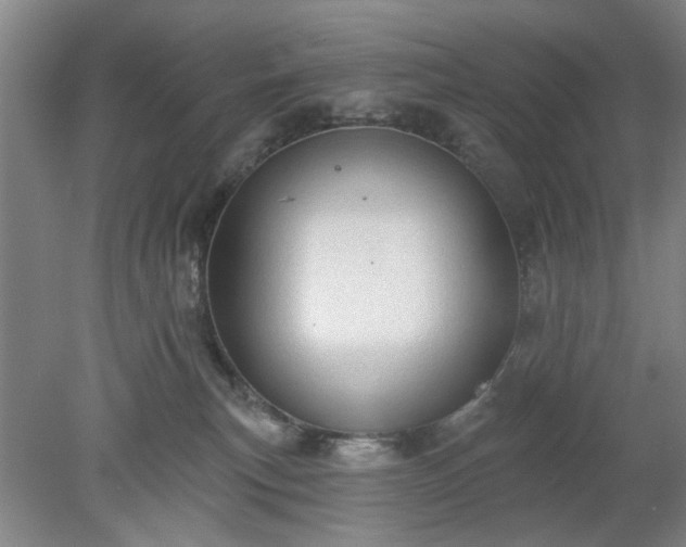 X0000078230183200611101019