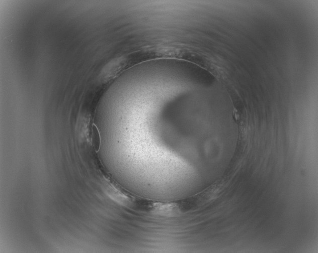 X0000078230185200611101019