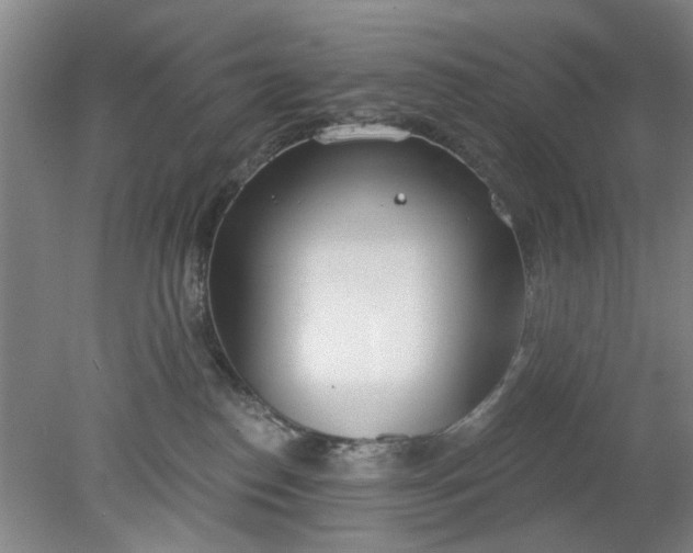 X0000078230186200611101019