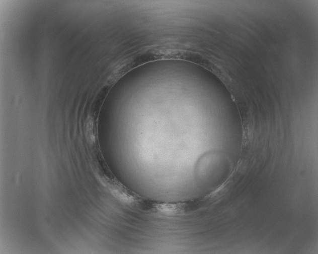 X0000078230187200611101019