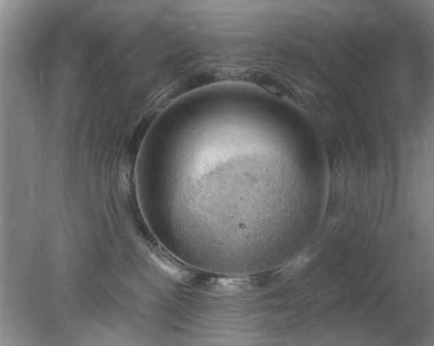 X0000078230188200611101019