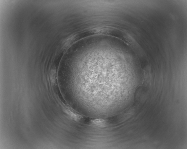 X0000078230189200611101019