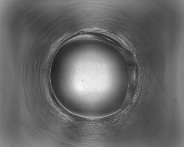 X0000078230193200611101018