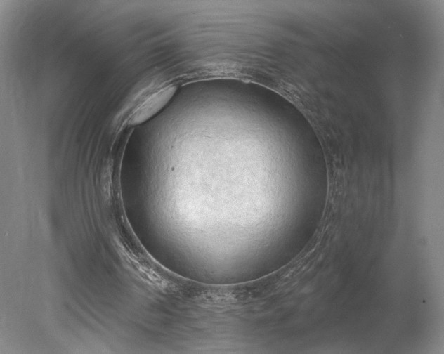 X0000078230194200611101018