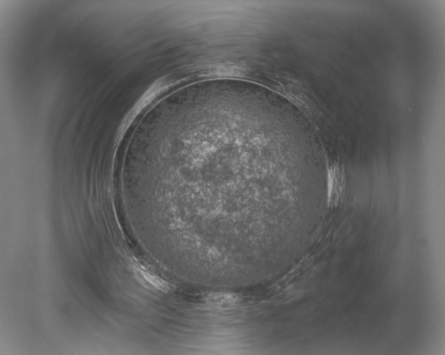 X0000078230195200611101018