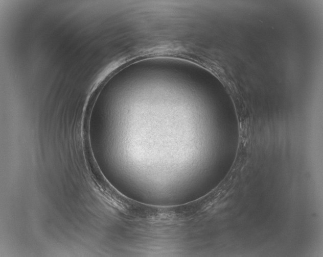 X0000078230196200611101018