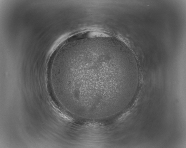 X0000078230199200611101018