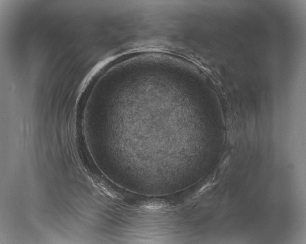 X0000078230200200611101018