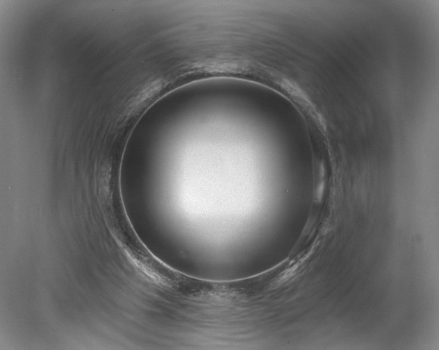 X0000078230201200611101018