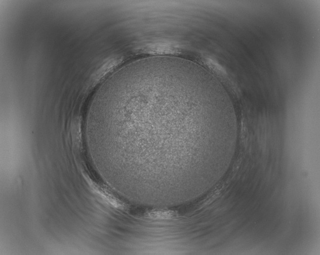 X0000078230202200611101018