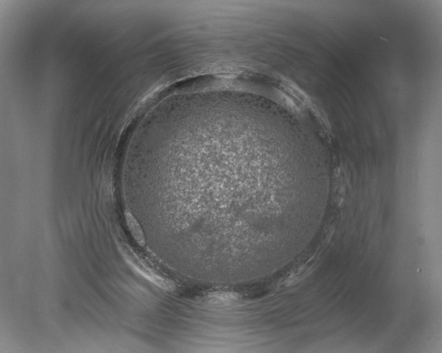 X0000078230203200611101018