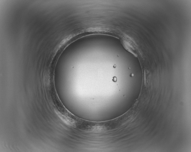 X0000078230204200611101018