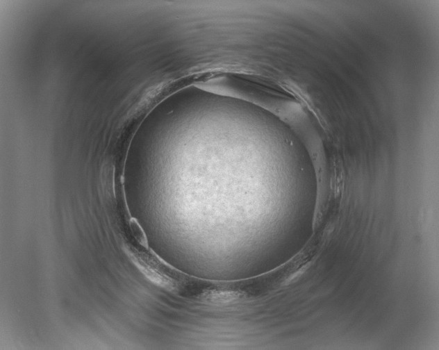 X0000078230205200611101018