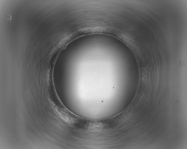 X0000078230206200611101018