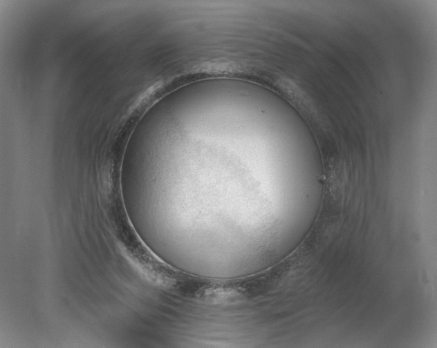 X0000078230208200611101018