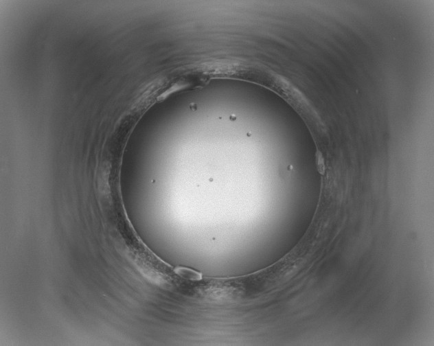 X0000078230209200611101018