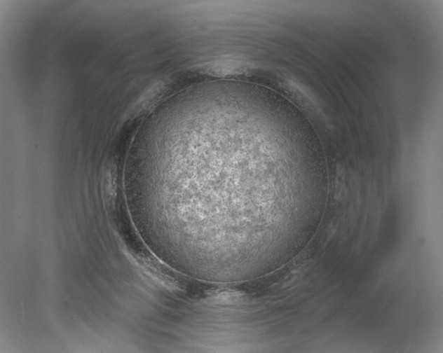 X0000078230210200611101018