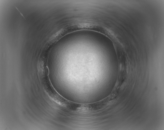 X0000078230211200611101018