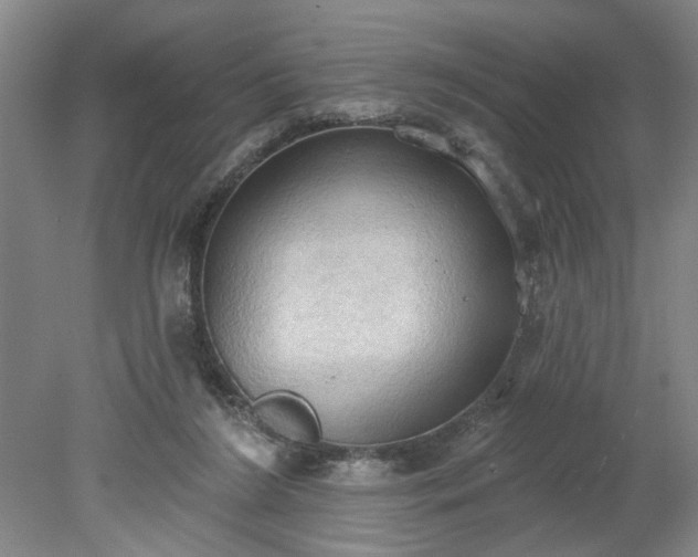 X0000078230212200611101018