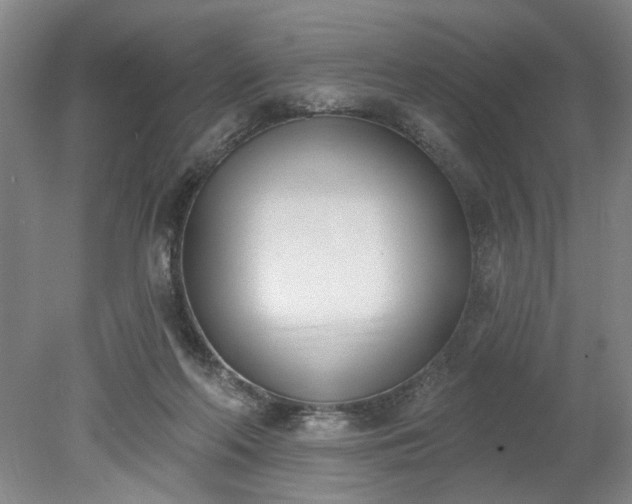 X0000078230214200611101018