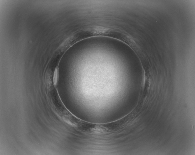 X0000078230215200611101018