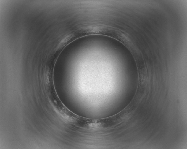 X0000078230216200611101018