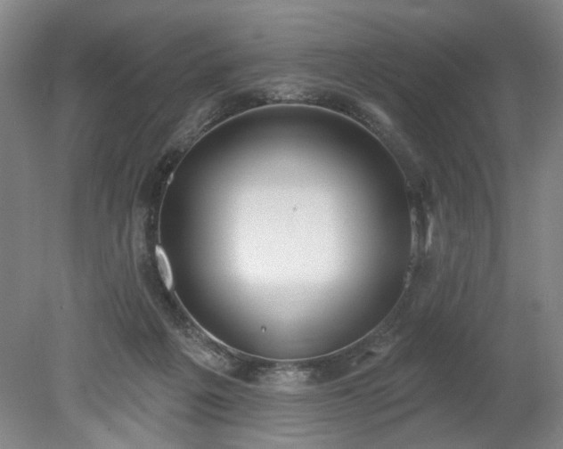 X0000078230217200611101018