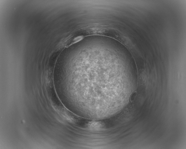 X0000078230218200611101018